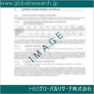 グローバルリサーチ調査資料のイメージ